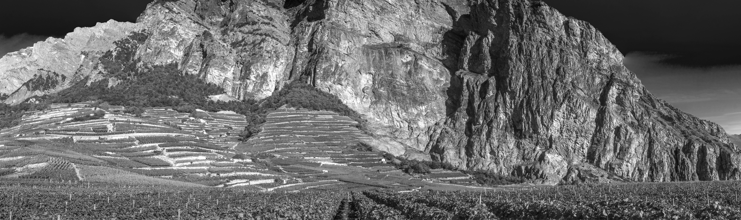 CUVÉE DES APPRENTIS