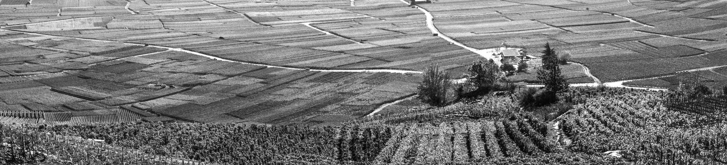 Conditions générales