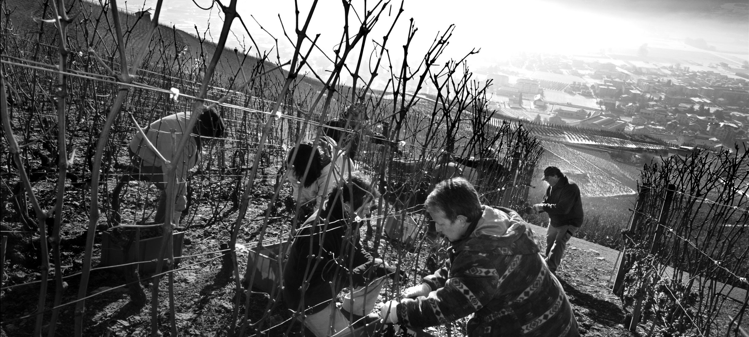 Maison Rouge - Slide 3